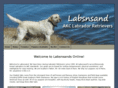 labsnsand.com