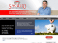 saggiomanagement.com