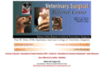 tulsavetsurg.com