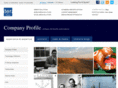 dallaswebsitesdesign.com