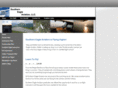 southerneagleaviation.com