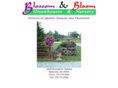 blossomandbloom.com