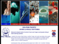 dolphinpacificdiving.com