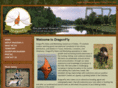 dragonflysalesandmarketing.com
