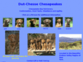 dut-chessechesapeakes.com