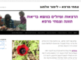 limor-almog.co.il