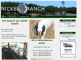 mikenickel.com