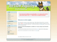 actionagility.com