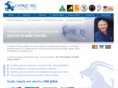 capricornplumbingbristol.com