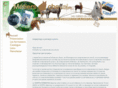 comportementaliste-equin.com