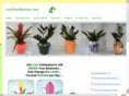 liveplantrentals.com