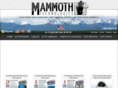 mammothtechnologies.com