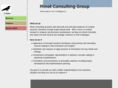 minotconsulting.com