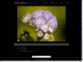 adamrichphotography.net