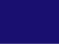 palmettonetworks.com