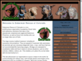 dobermanrescueco.info