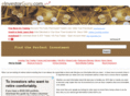 einvestorguru.com