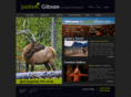 justinrgibson.com