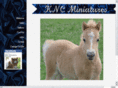 kncminiatures.com