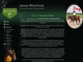 aurorawindfeeds.com