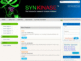 synkinase.com