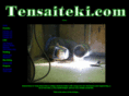 tensaiteki.com