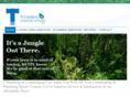 tplumbingandlandscaping.com