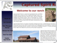 capturedspiritequine.com
