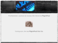 pilgrinprod.com