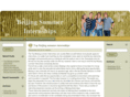 beijingsummerinternships.com