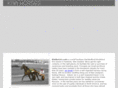 kiwihorses.com