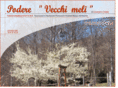 vecchimeli.it
