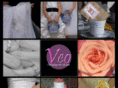 veowed.com