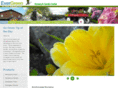 alaskaevergreen.com