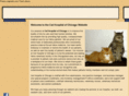 cathospitalofchicago.com