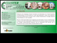 clusterconsultants.com