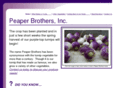 peaperbrothers.com