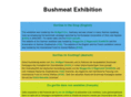 bushmeat-campagne.net