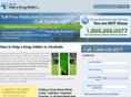 howtohelpadrugaddict.com