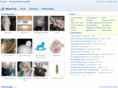 blauespony.de