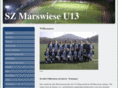 marswiese1998.com