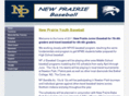 npmsbaseball.com