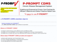 p-prompt.com