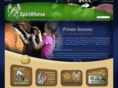 spirithorsetherapyatblackfox.com