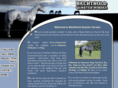 bechtholdquarterhorses.com