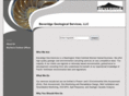 beveridgegeo-services.com