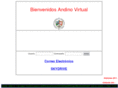 colegioandino.net