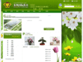 df-flower.com