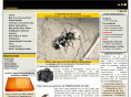 insectos.cl