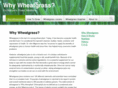 whywheatgrass.com.my